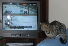 Watching Winter Sports