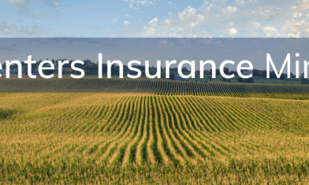 Minnesota Renters Insurance, Renters Insurance Minnesota, Renters Insurance In Minnesota, MN Renters Insurance, Renters Insurance MN