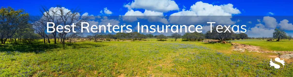 Texas Renters Insurance, Renters Insurance Texas, Renters Insurance In Texas, TX Renters Insurance, Renters Insurance TX