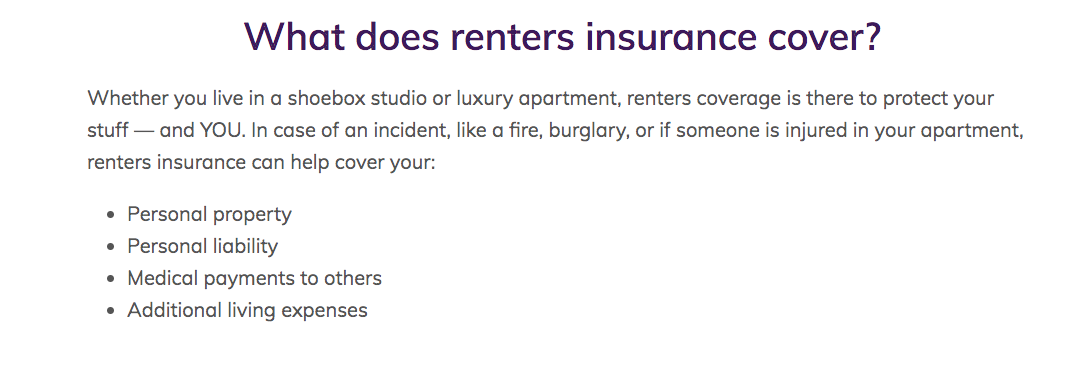 Esurance Renters Review